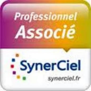 Logo Synerciel