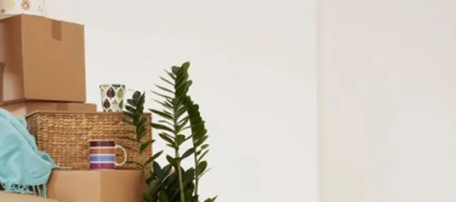 FAQ ECOBAT